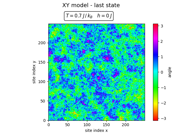Final spin configuration at low temperature showing the effective symmetry breaking.